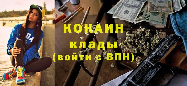 хмурый Каменка