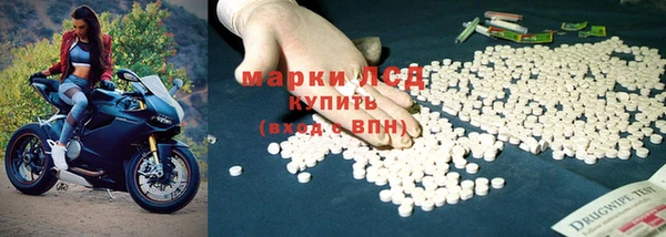 хмурый Каменка