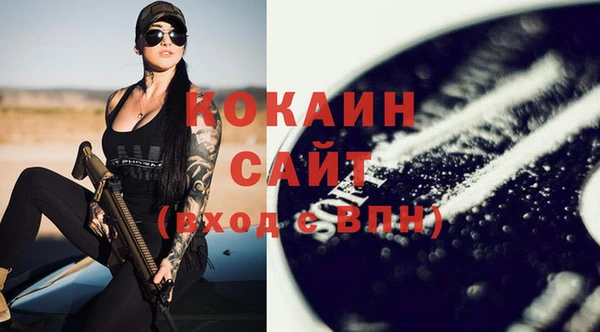 хмурый Каменка