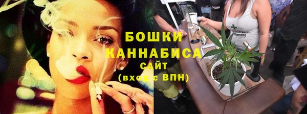 молекула духа Инта