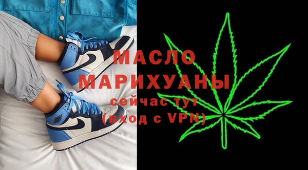 хмурый Каменка