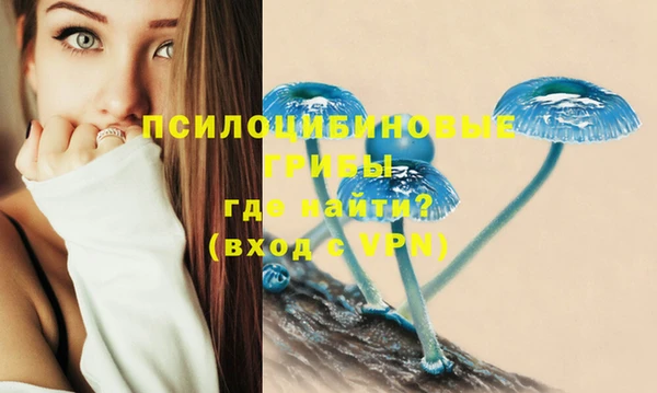 герыч Каменск-Шахтинский