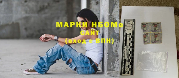 хмурый Каменка