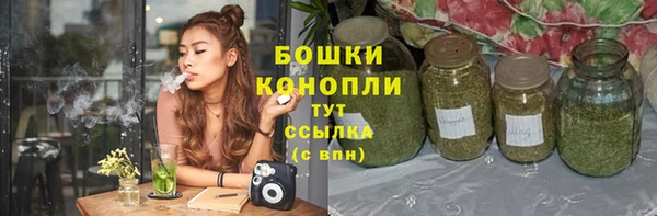 хмурый Каменка