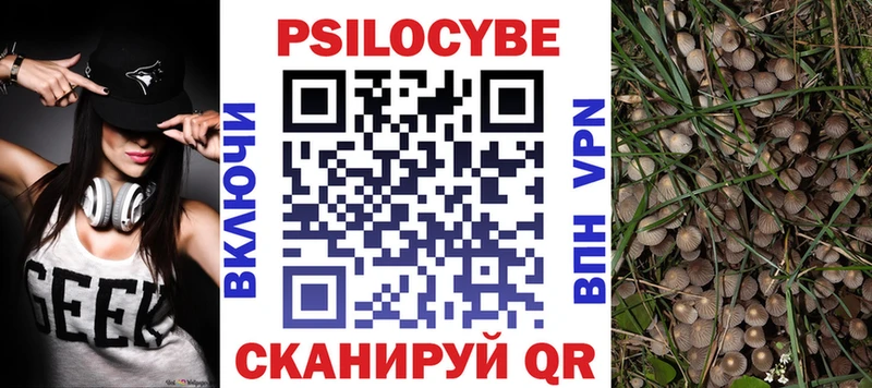 hydra зеркало  Кимовск  Псилоцибиновые грибы Magic Shrooms 