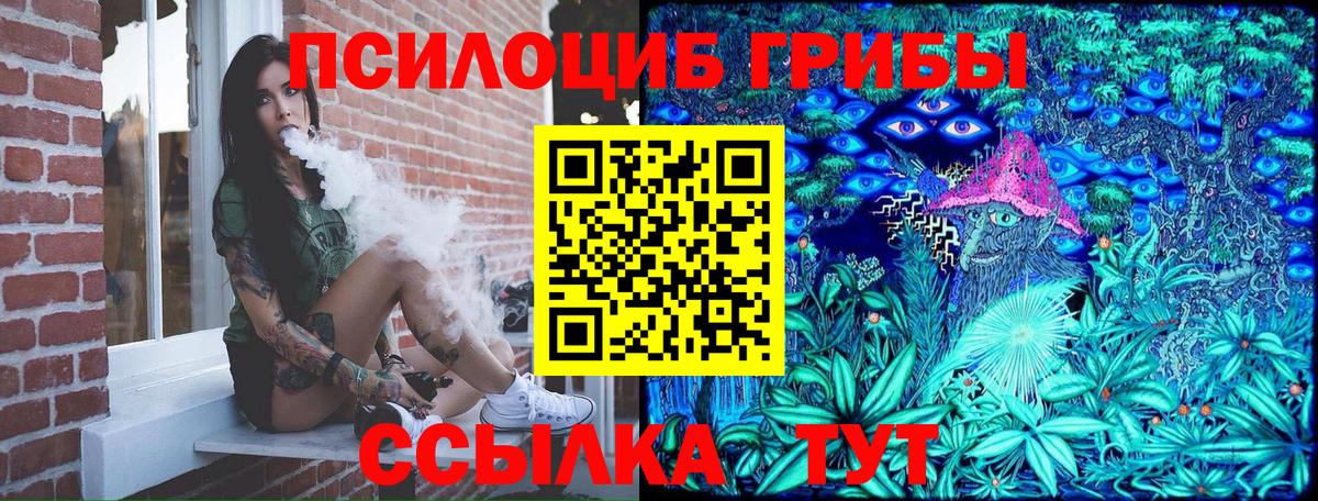 Галлюциногенные грибы прущие грибы Кимовск