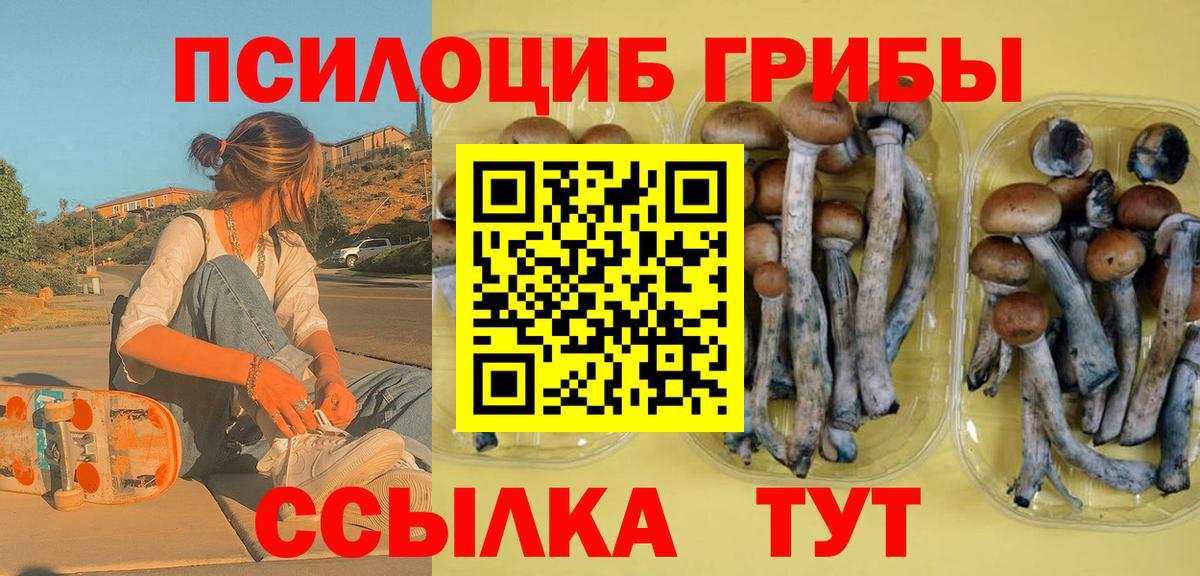 Псилоцибиновые грибы Psilocybine cubensis  Вход с VPN  Кимовск  Галлюциногенные грибы мицелий 